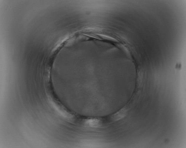 X0000112420168200909041421