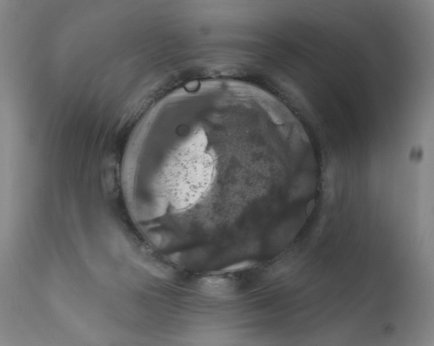 X0000112420169200909041421