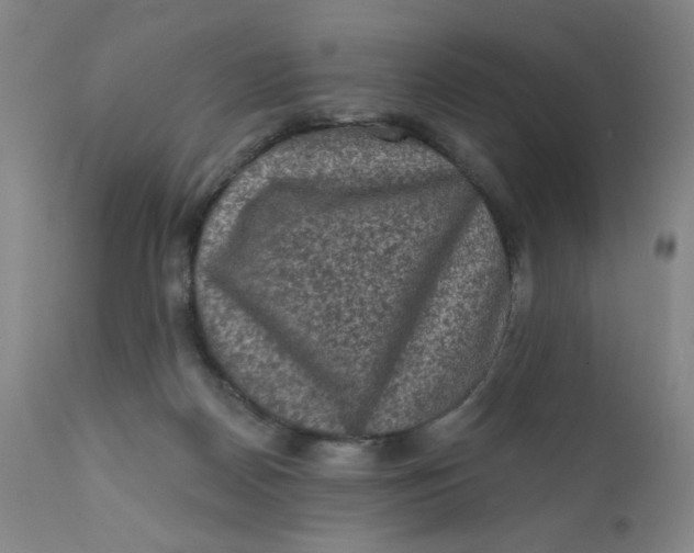 X0000112420170200909041421