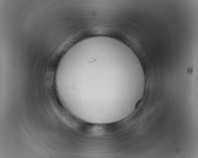 X0000112420171200909041421