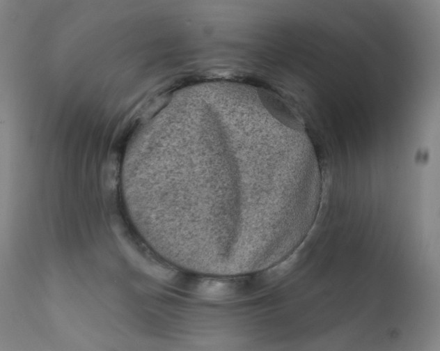 X0000112420174200909041421