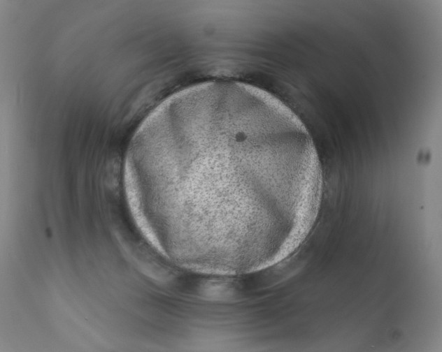 X0000112420175200909041421