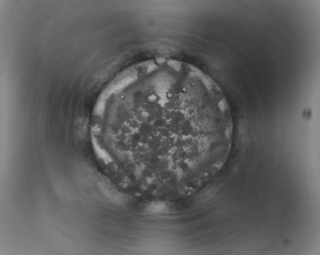 X0000112420177200909041421