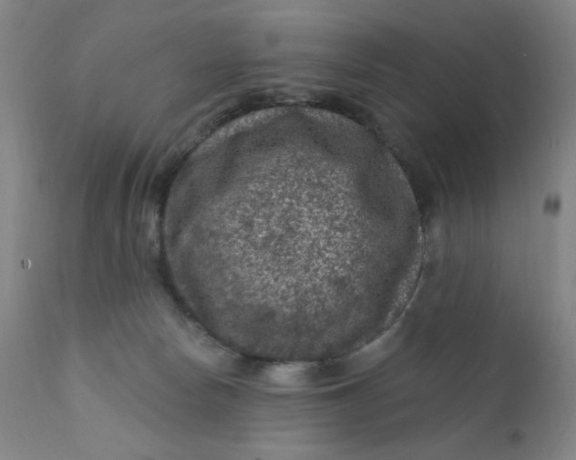 X0000112420178200909041421