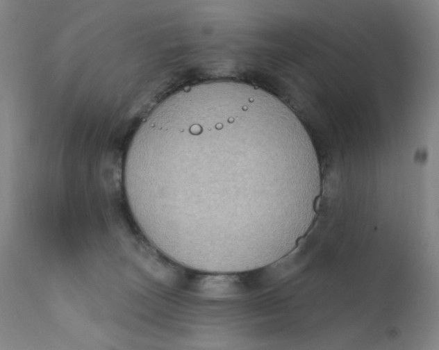 X0000112420179200909041421