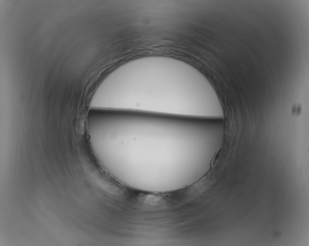 X0000112420180200909041421