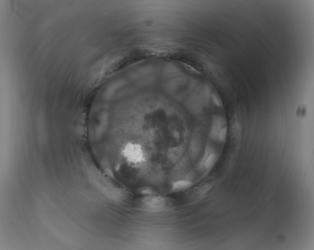 X0000112420181200909041421