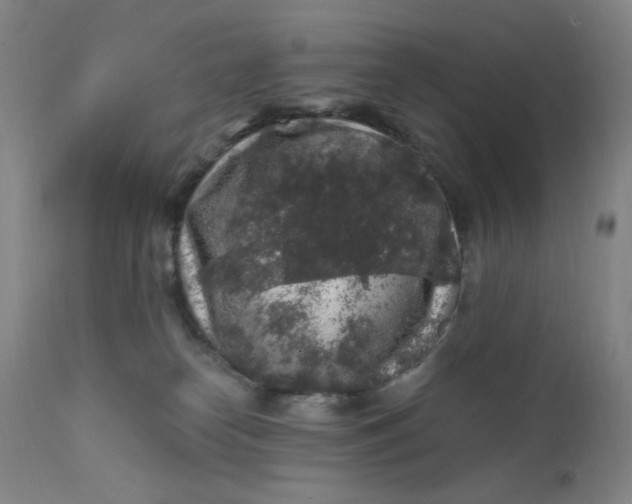 X0000112420182200909041421