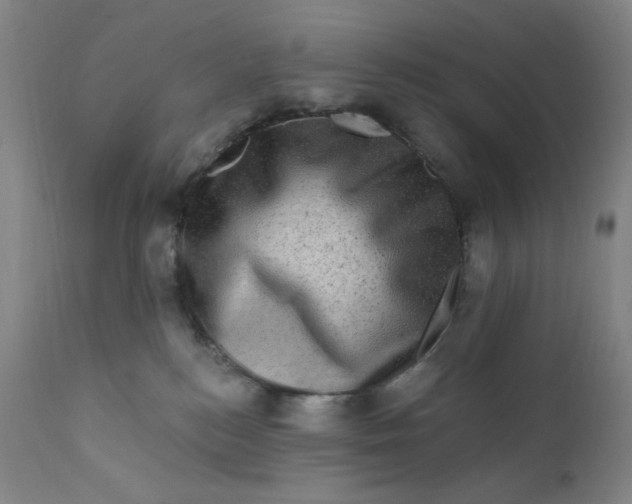 X0000112420184200909041421