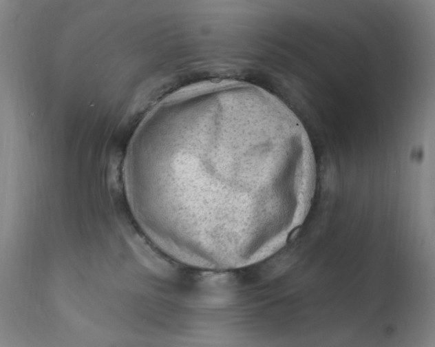 X0000112420185200909041421