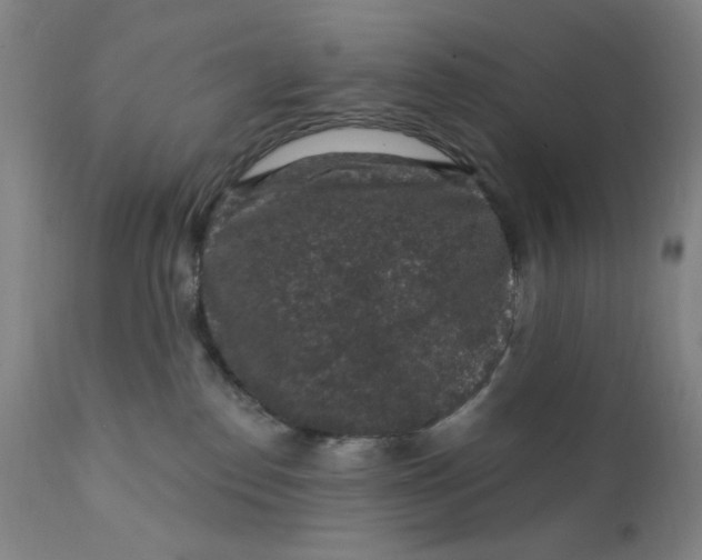 X0000112420186200909041421