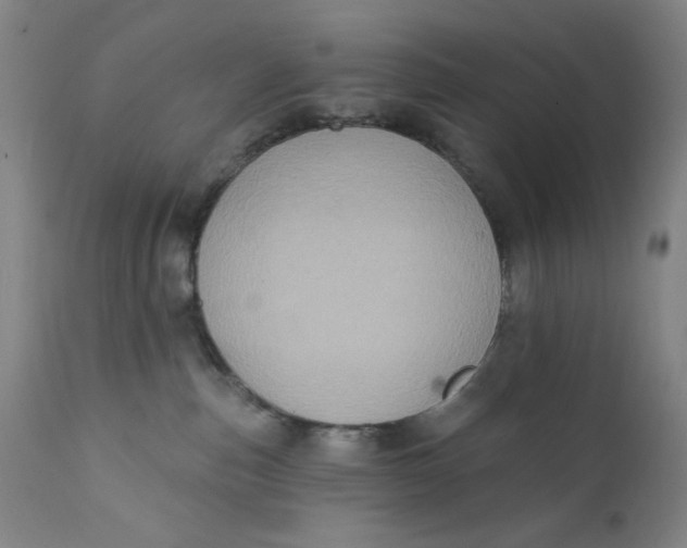 X0000112420187200909041421