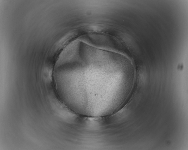 X0000112420188200909041421