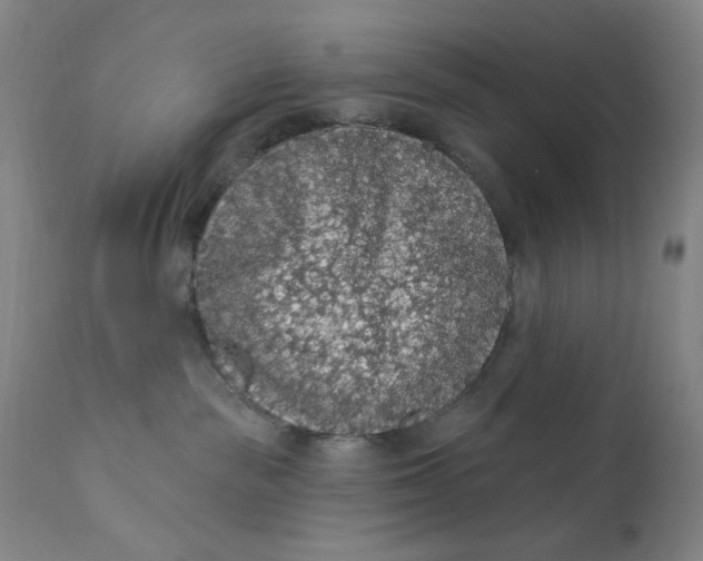 X0000112420189200909041421