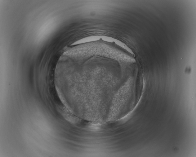 X0000112420190200909041421