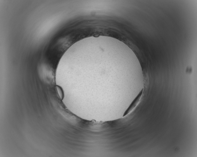 X0000112420191200909041421