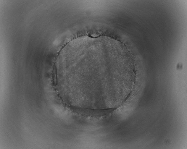 X0000112420192200909041421