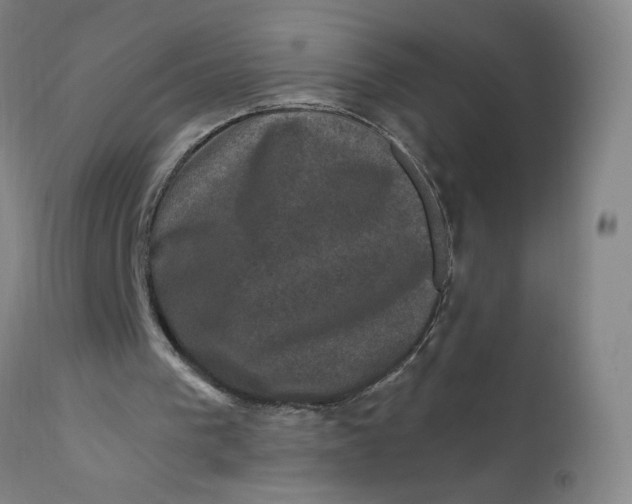 X0000112420193200909041421