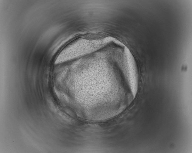 X0000112420194200909041421