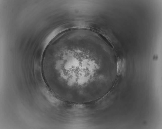 X0000112420195200909041421