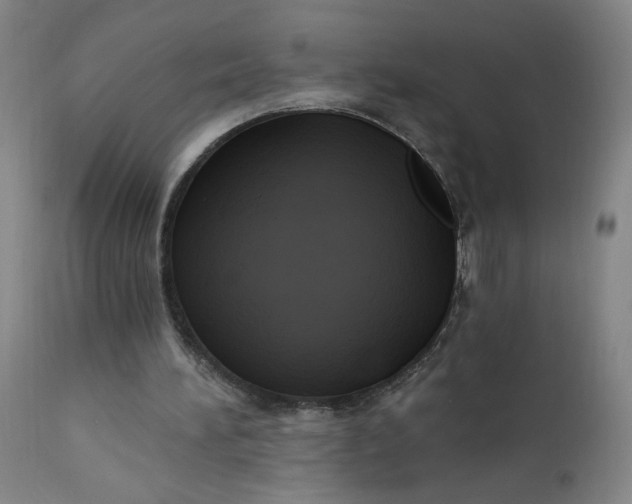 X0000112420196200909041421