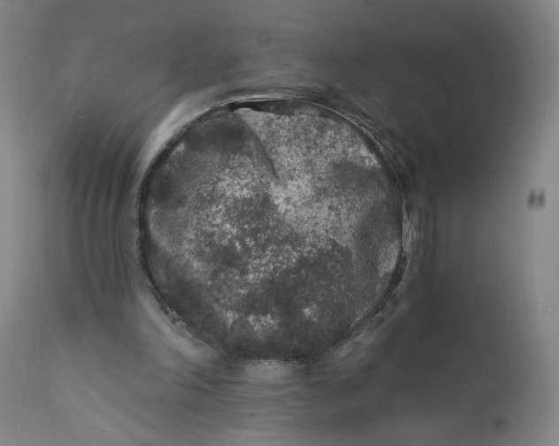 X0000112420198200909041421