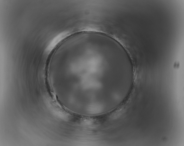 X0000112420199200909041420