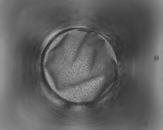 X0000112420200200909041420