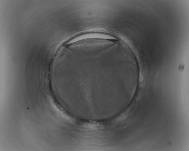 X0000112420201200909041420