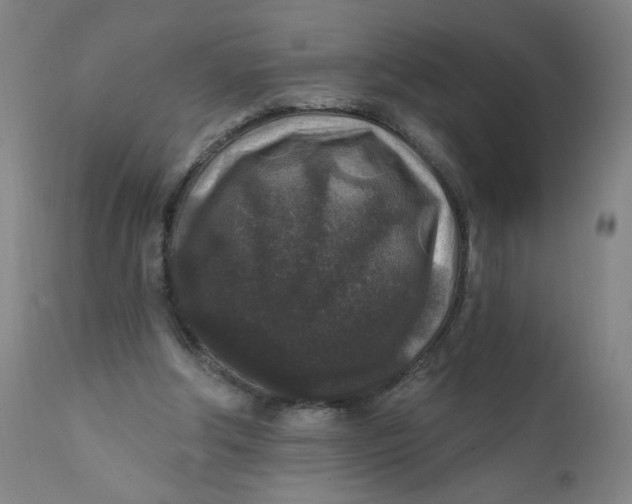 X0000112420202200909041420