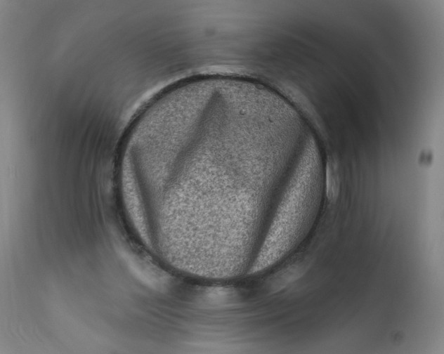 X0000112420204200909041420