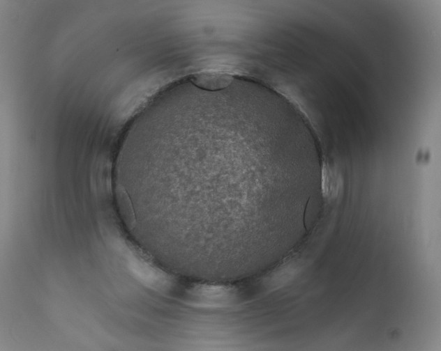 X0000112420205200909041420