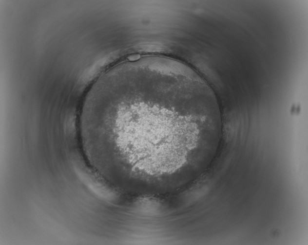 X0000112420207200909041420