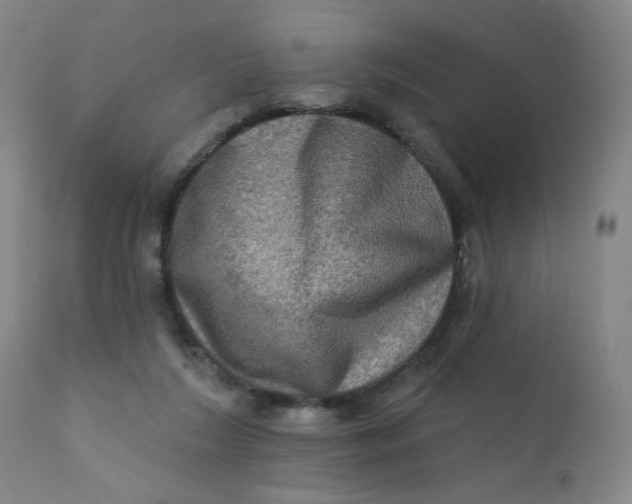 X0000112420212200909041420