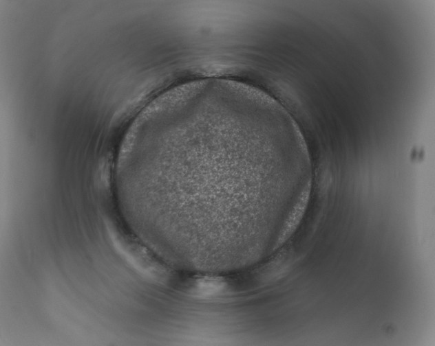 X0000112420214200909041420