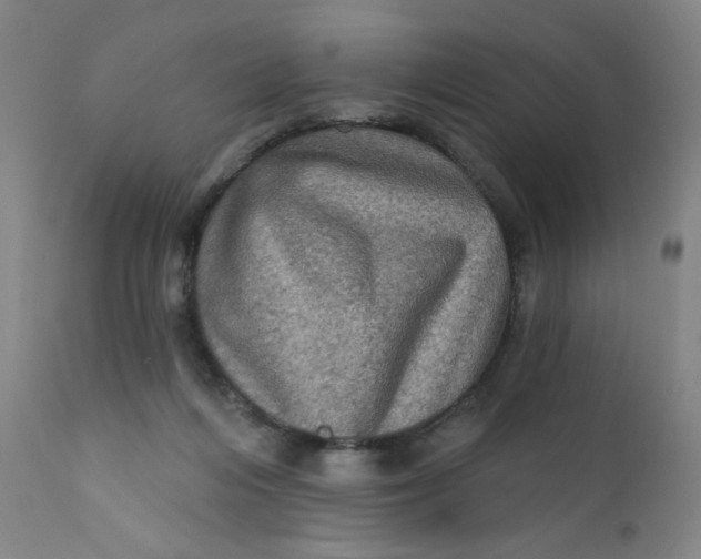 X0000112420216200909041420