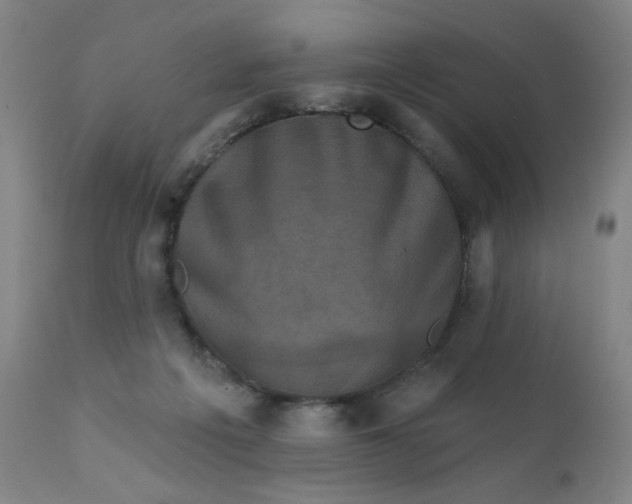 X0000112420217200909041420