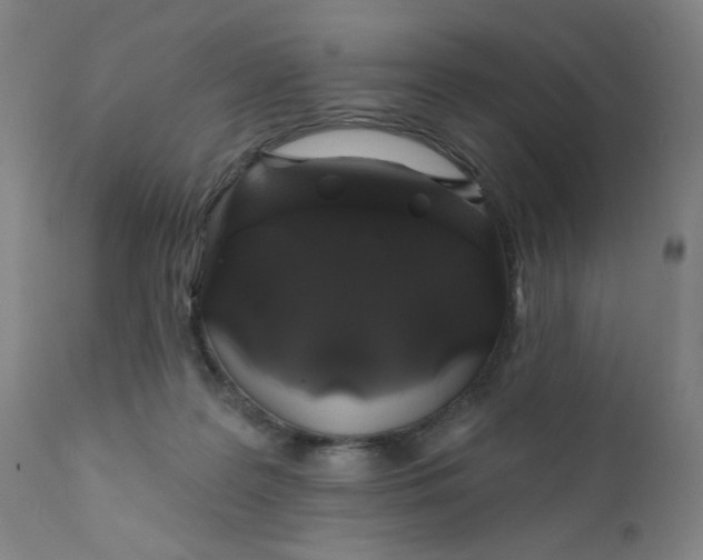 X0000112420219200909041420