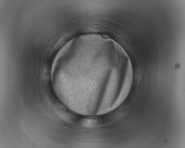 X0000112420220200909041420