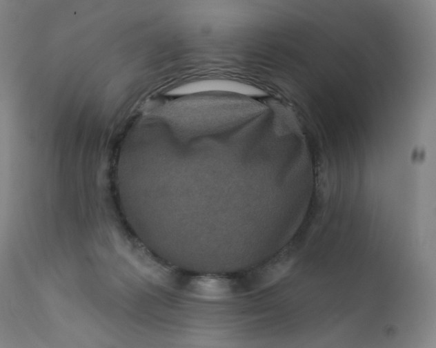 X0000112420221200909041420