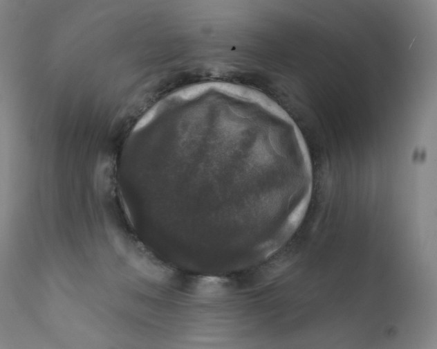 X0000112420222200909041420