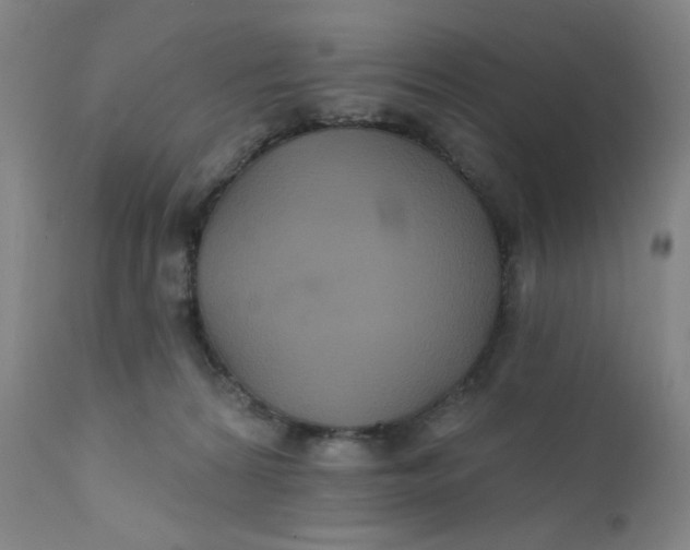 X0000112420224200909041420