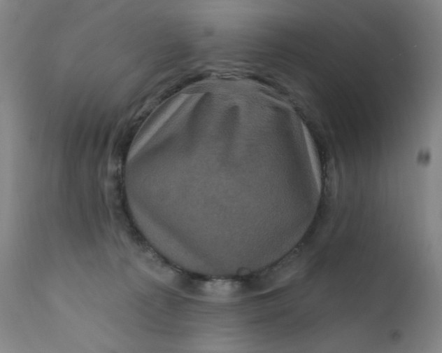 X0000112420225200909041420