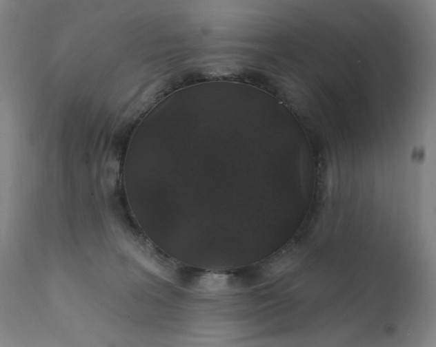 X0000112420227200909041420