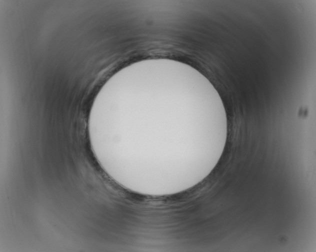 X0000112420228200909041420