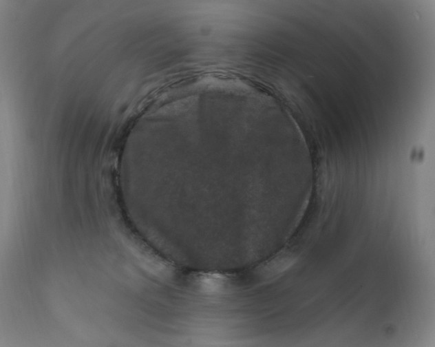 X0000112420229200909041420