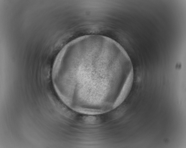 X0000112420230200909041420