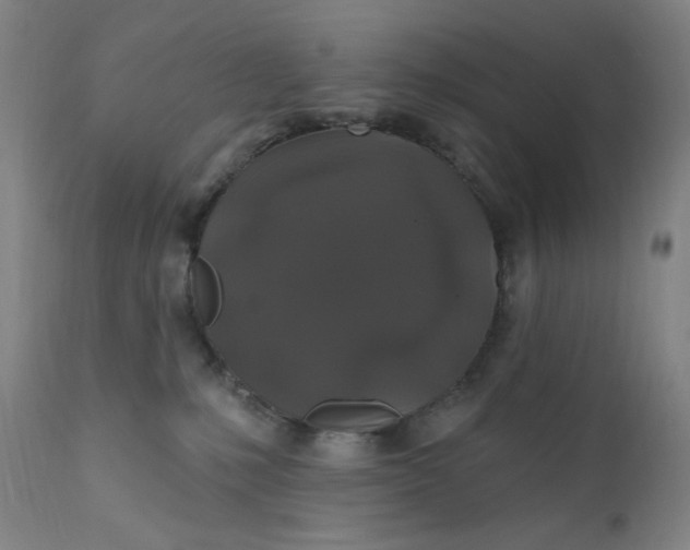 X0000112420231200909041420