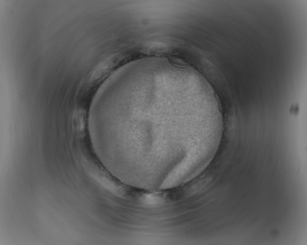 X0000112420232200909041420