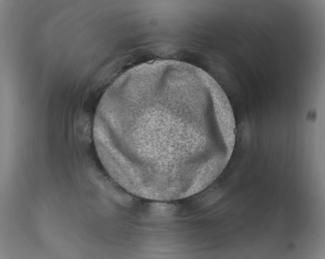 X0000112420234200909041420